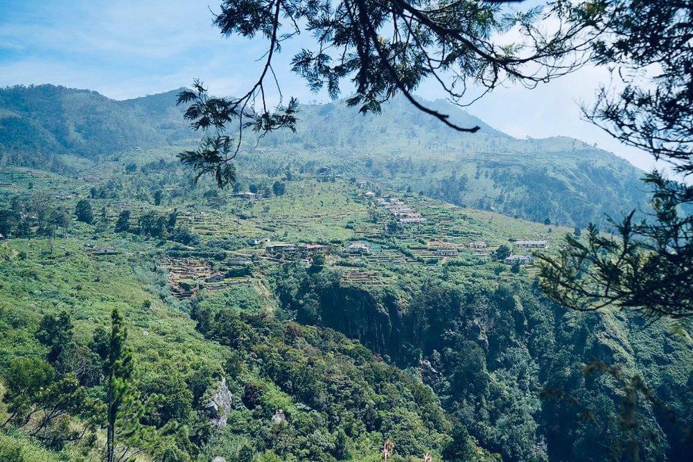 Misty Mountain Lodge Ohiya Luaran gambar