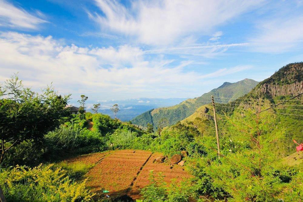 Misty Mountain Lodge Ohiya Luaran gambar
